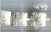 Thai Karen Hill Tribe Silver Beads BL829 (5 Beads)