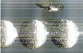 Thai Karen Hill Tribe Silver Beads BL831 (4 Beads)