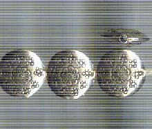 Thai Karen Hill Tribe Silver Beads BL855 (5 Beads)