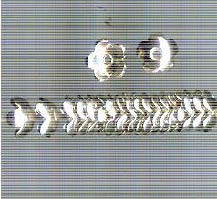 Thai Karen Hill Tribe Silver Beads BL882 (20 Beads)
