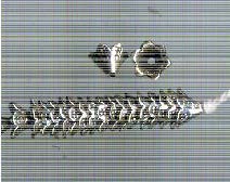 Thai Karen Hill Tribe Silver Beads BL885 (20 Beads)